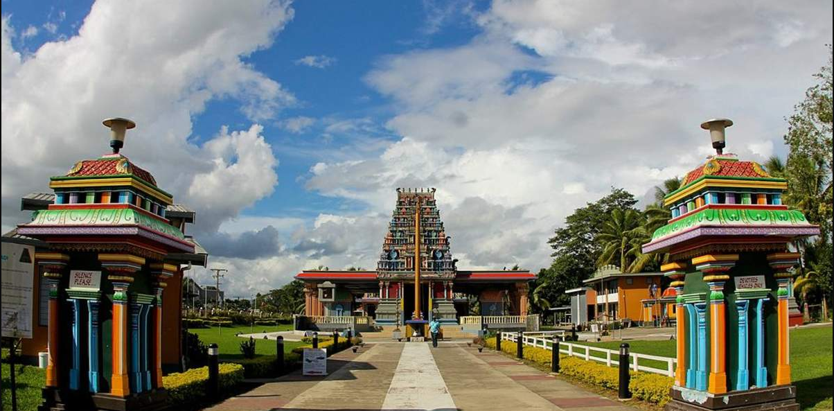 楠迪