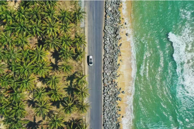 椰林沿海公路