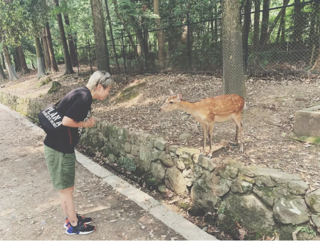 奈良公園