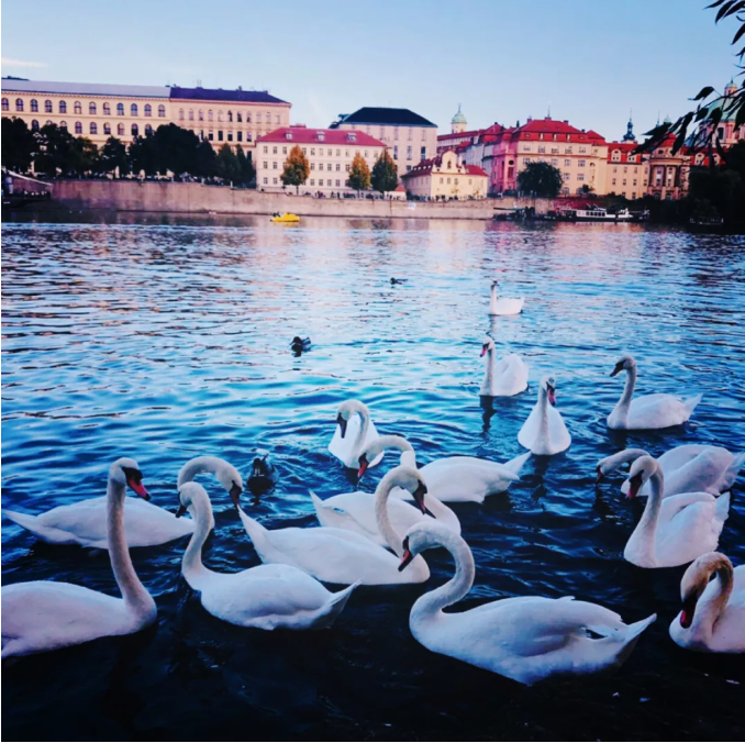 捷克