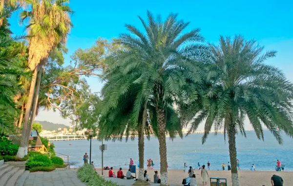 廈門鼓浪嶼一日遊攻略｜不繞路路線·日光岩·菽莊花園·晴天牆一次走完