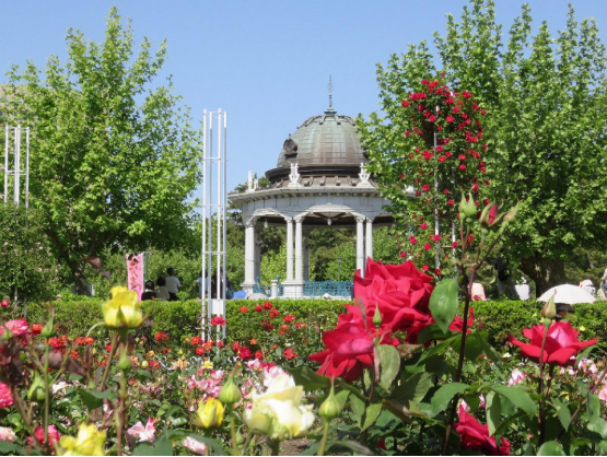 鶴舞公園