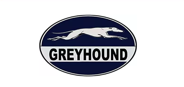 灰狗 Greyhound