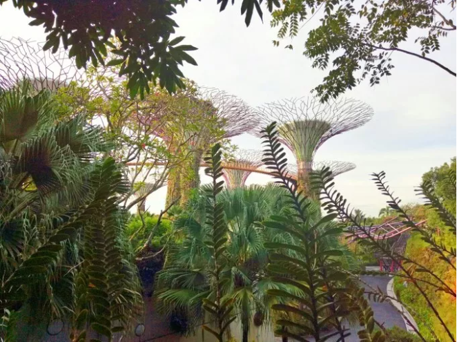 海灣花園