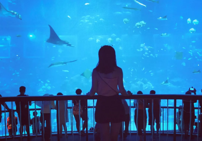 海洋館