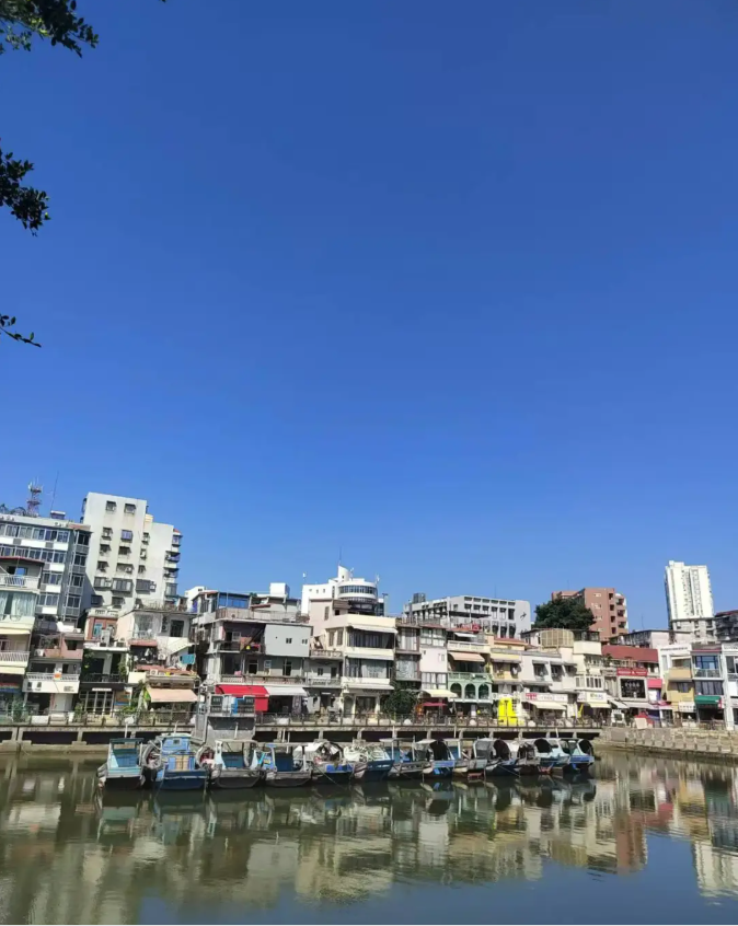 八市