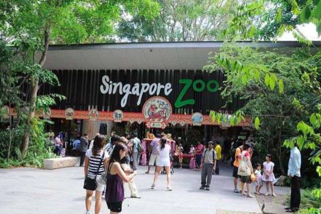 動物園(Singapore Zoo)