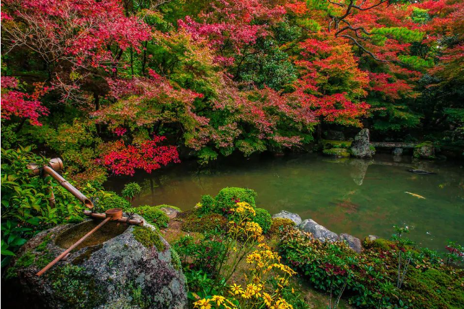 層雲峽紅葉