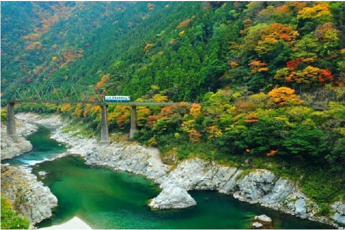 大步危・小步危紅葉